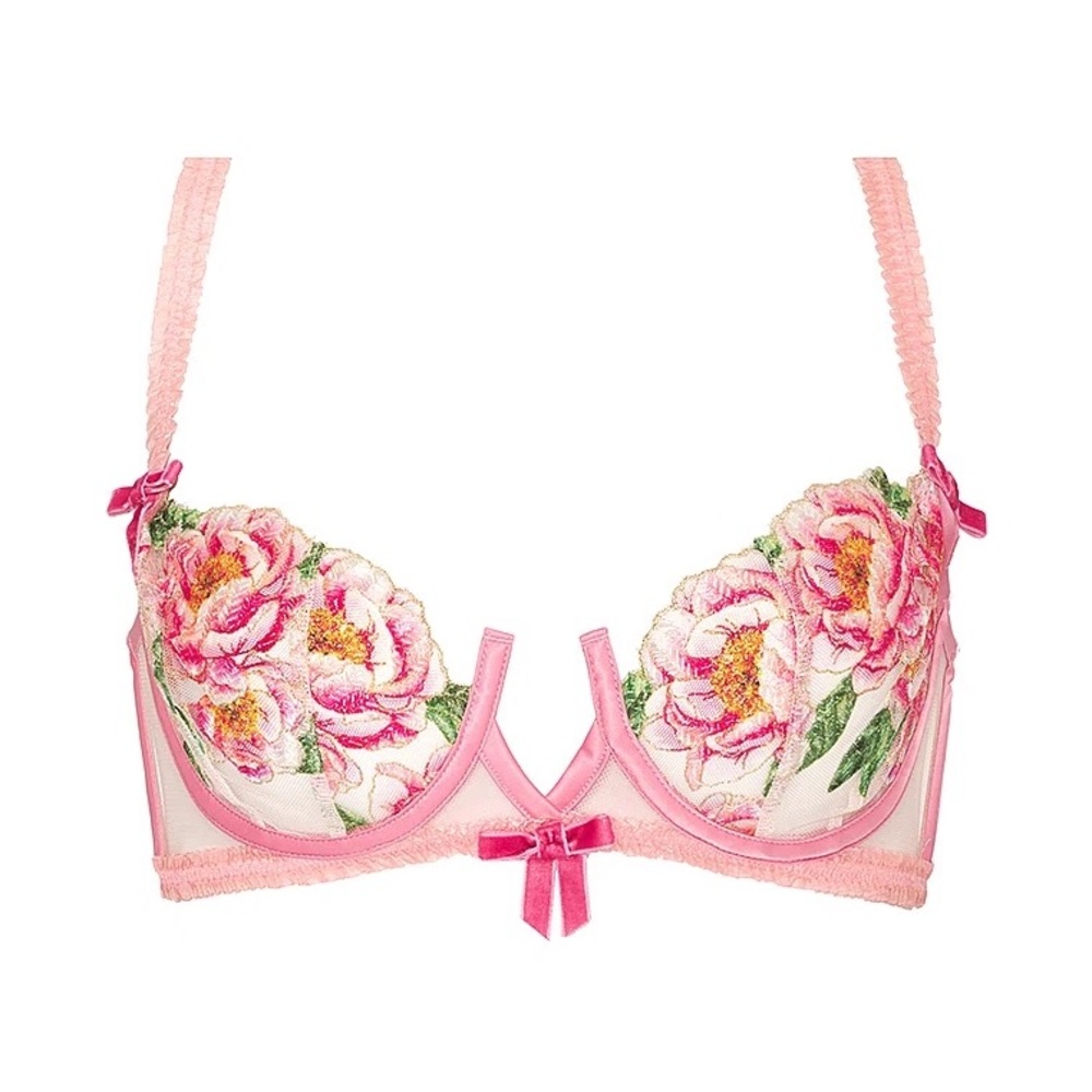 ❤️+🍋 FOR LOVE & LEMONS *NWT* Needle Point Roses Underwire Bra Pink XS Floral